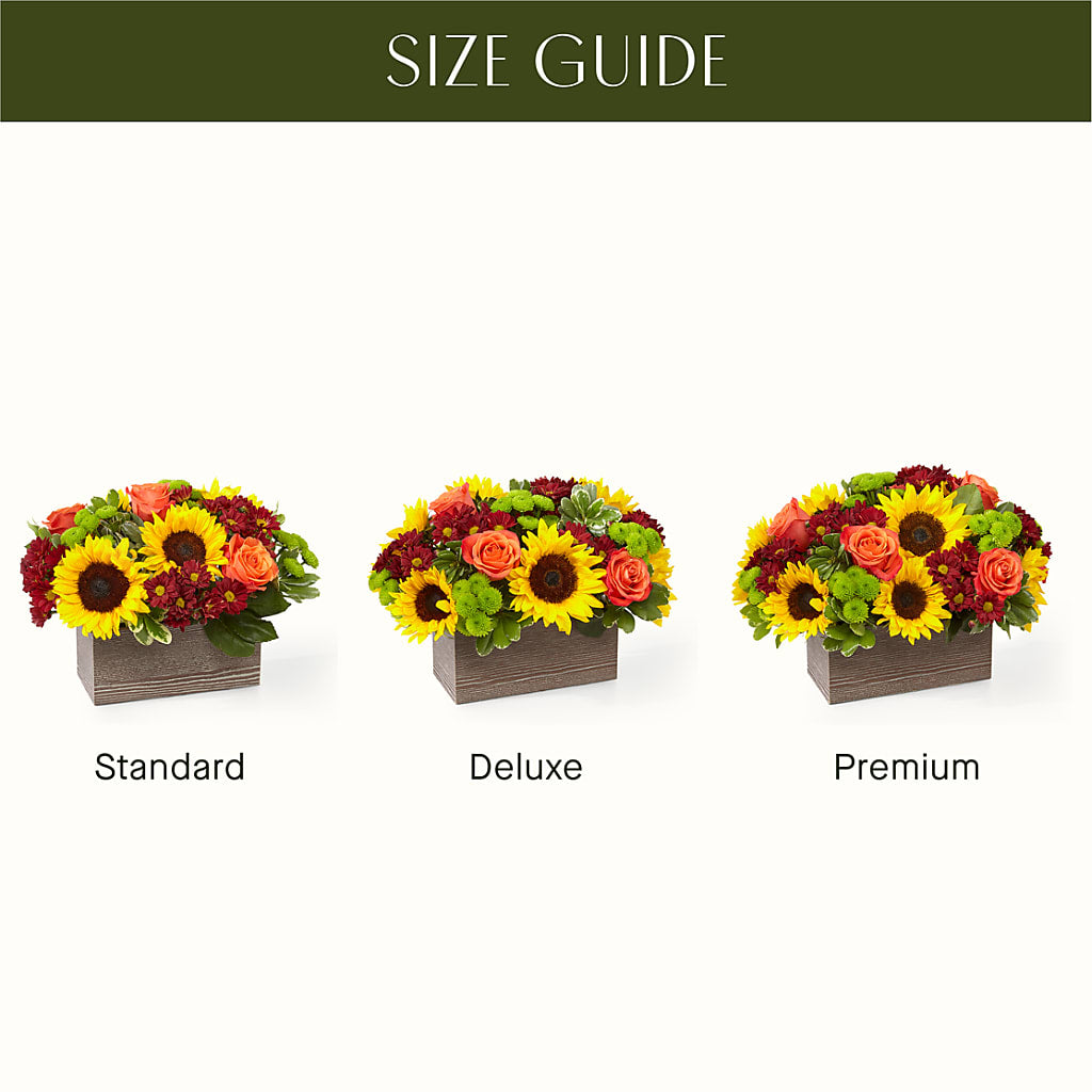 Happy Harvest Garden –  West Hollywood Florist, West Hollywood CA