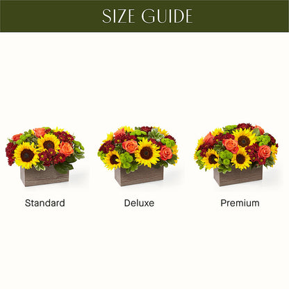 Happy Harvest Garden –  West Hollywood Florist, West Hollywood CA