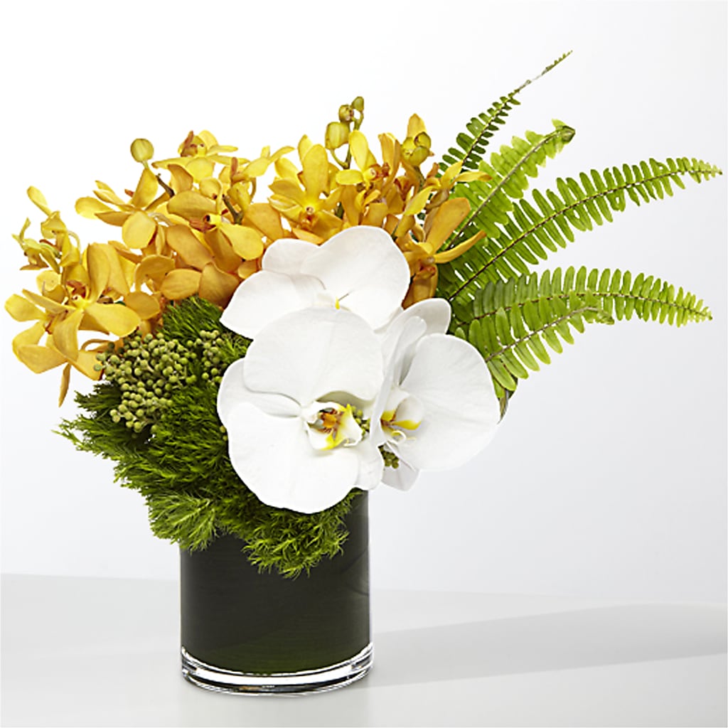 The Tropics –  West Hollywood Florist, West Hollywood CA