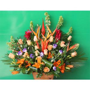 Tropical Paradise –  West Hollywood Florist, West Hollywood CA