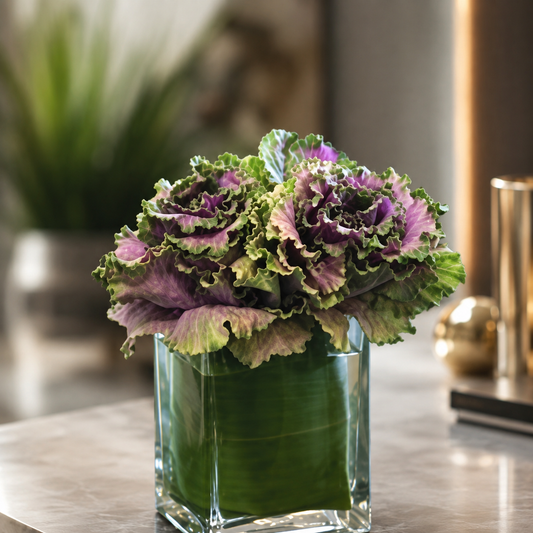 Kale Blooms –  West Hollywood Florist, West Hollywood CA