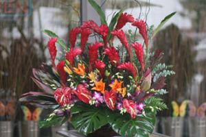 Tropical Sunset Flower Arrangement