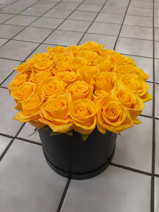 Yellow Rose Contempo