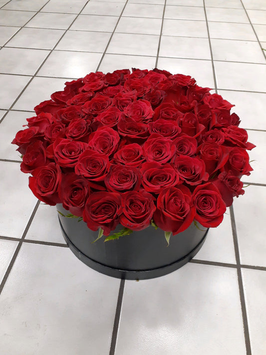 XXL Rose Contempo