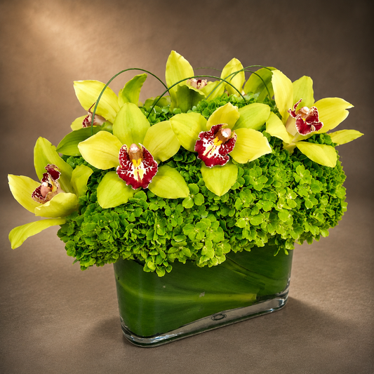 Supa Green Contempo –  West Hollywood Florist, West Hollywood CA