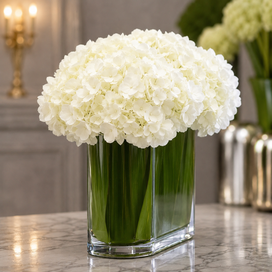 Hydrangea Contempo –  West Hollywood Florist, West Hollywood CA