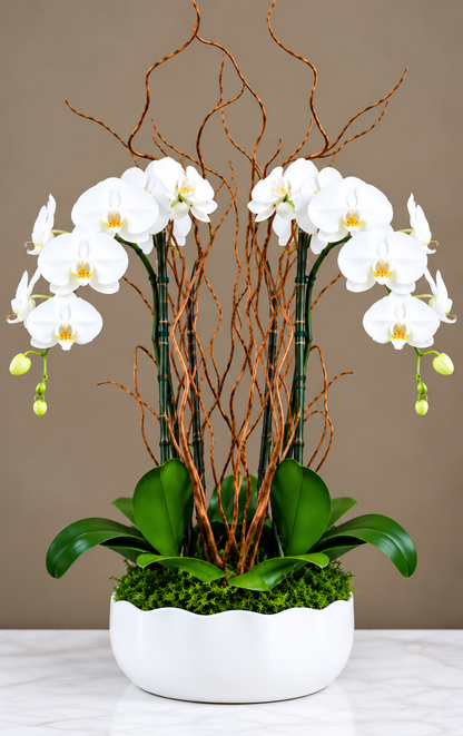 Orchid Oasis –  West Hollywood Florist, West Hollywood CA
