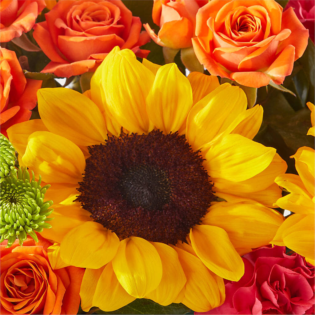 Sun-drenched Blooms Box Bouquet –  West Hollywood Florist, West Hollywood CA