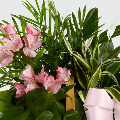 Living Spirit Dishgarden –  West Hollywood Florist, West Hollywood CA