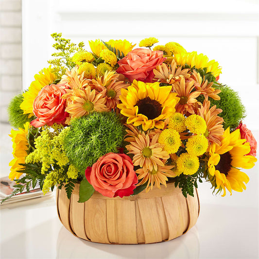 Harvest Sunflower Basket –  West Hollywood Florist, West Hollywood CA