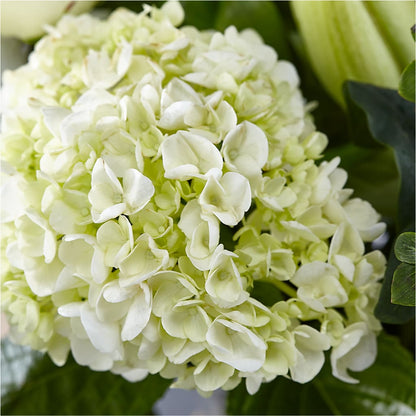 Classic Ivory – A Florist Original –  West Hollywood Florist, West Hollywood CA