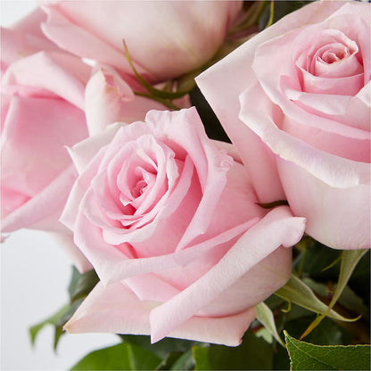 Picture Perfect Pink Rose Bouquet –  West Hollywood Florist, West Hollywood CA