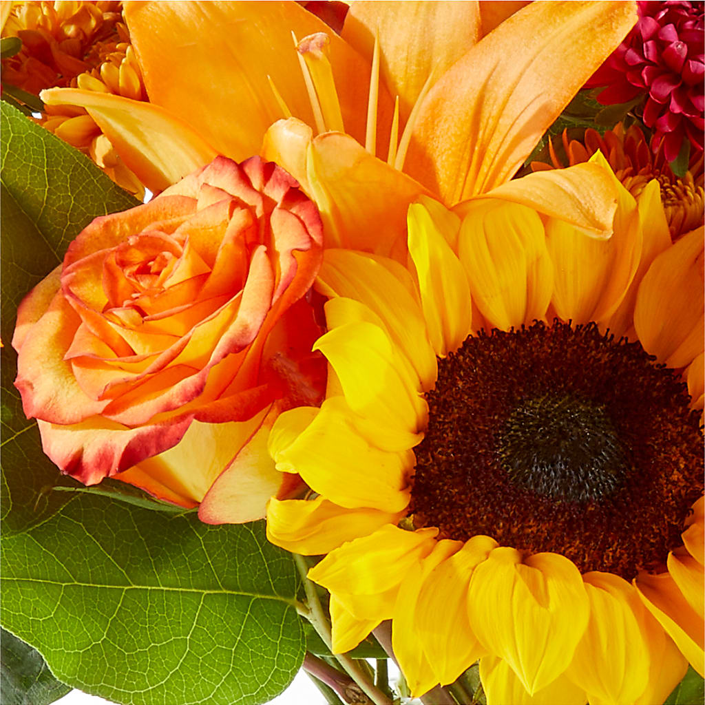 Fall Day Bouquet –  West Hollywood Florist, West Hollywood CA