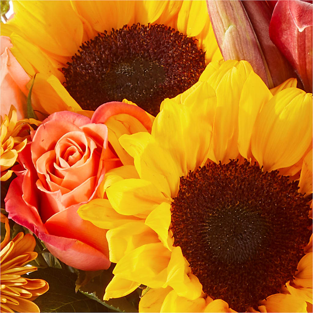 Acorn Lane Bouquet –  West Hollywood Florist, West Hollywood CA
