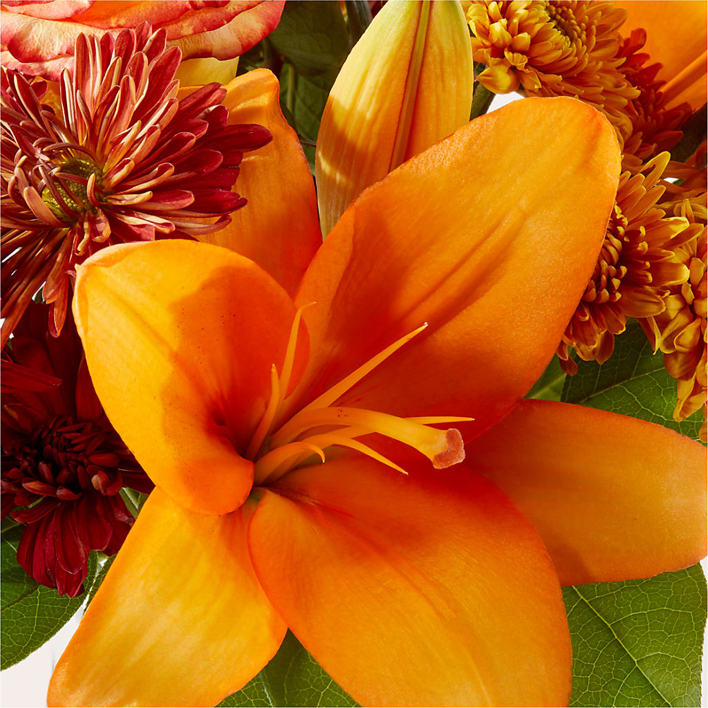 Autumnal Aroma Bouquet –  West Hollywood Florist, West Hollywood CA
