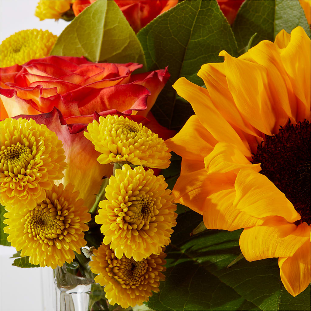 Picnic in the Park Bouquet –  West Hollywood Florist, West Hollywood CA