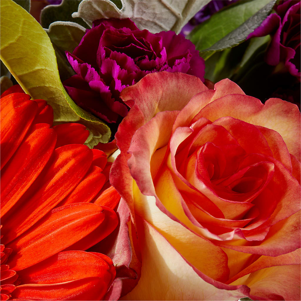Sangria Bouquet –  West Hollywood Florist, West Hollywood CA