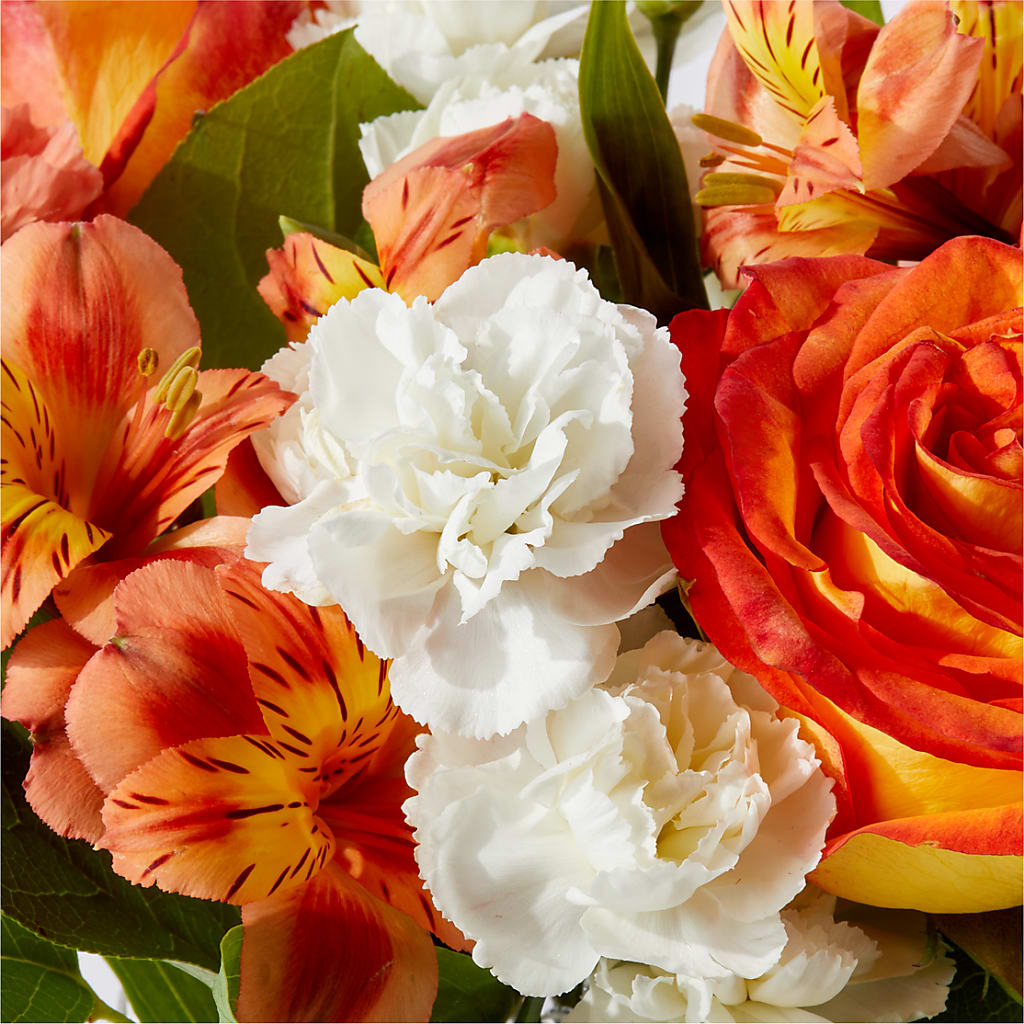 Apricot Glow Bouquet –  West Hollywood Florist, West Hollywood CA