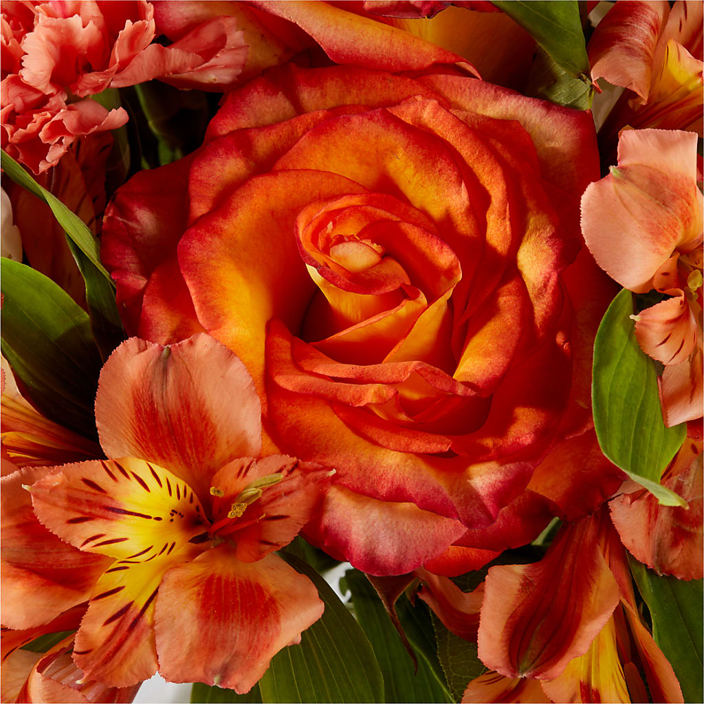 Apricot Glow Bouquet –  West Hollywood Florist, West Hollywood CA