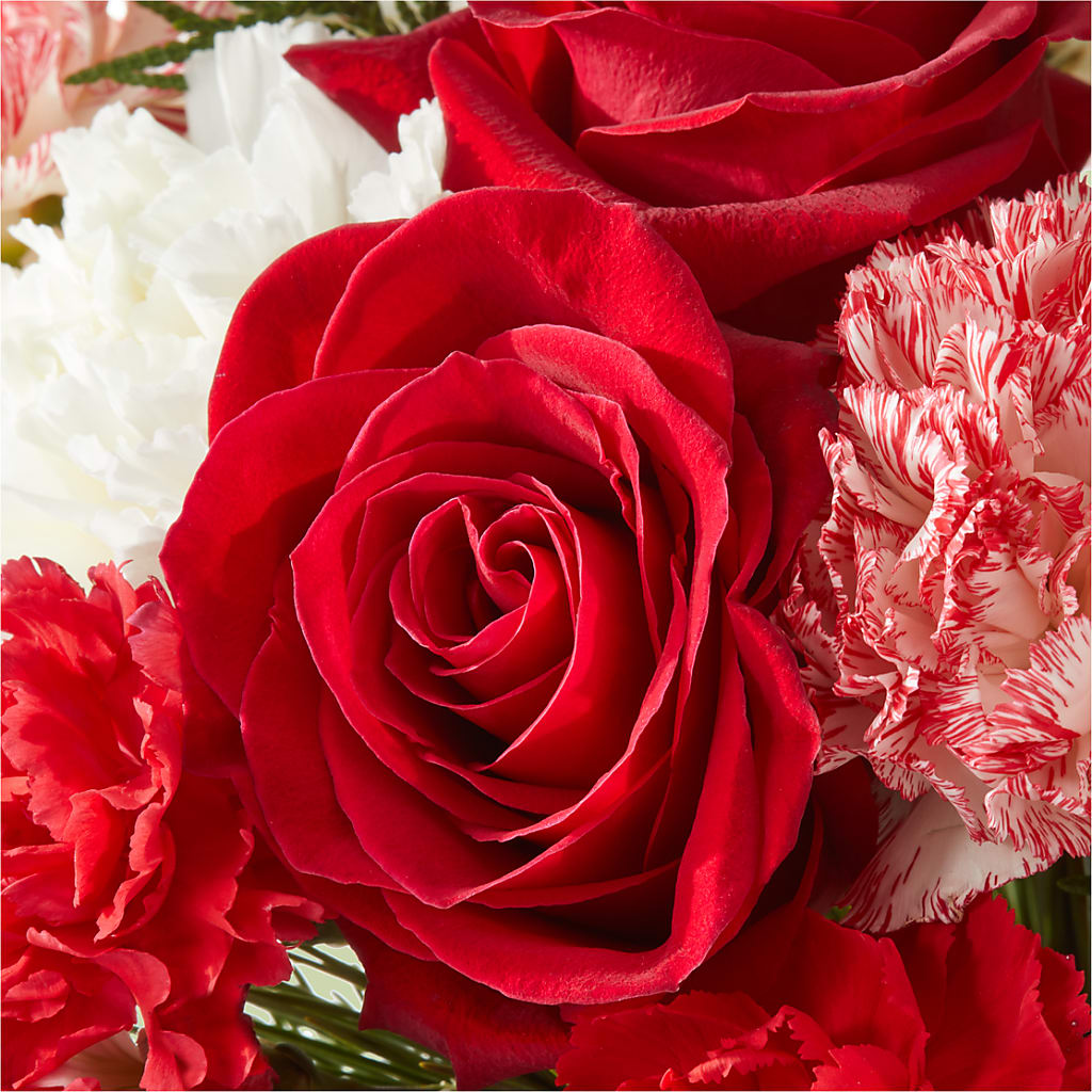 Candy Cane Lane Bouquet –  West Hollywood Florist, West Hollywood CA
