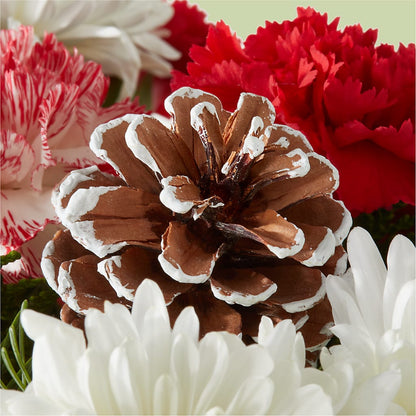 Candy Cane Lane Bouquet –  West Hollywood Florist, West Hollywood CA
