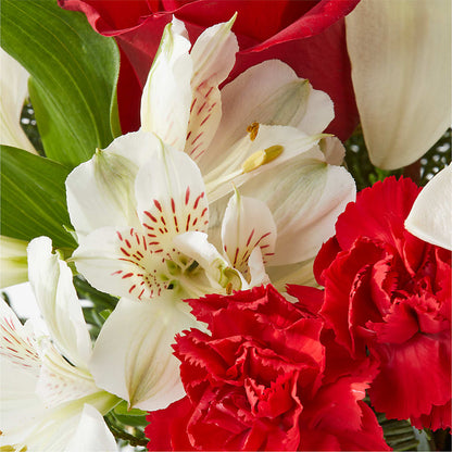 Holiday Season Bouquet –  West Hollywood Florist, West Hollywood CA