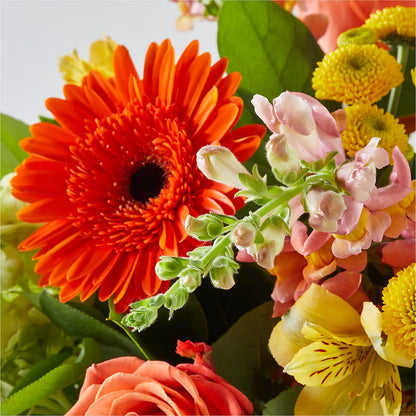 Autumn Sunshine Bouquet –  West Hollywood Florist, West Hollywood CA
