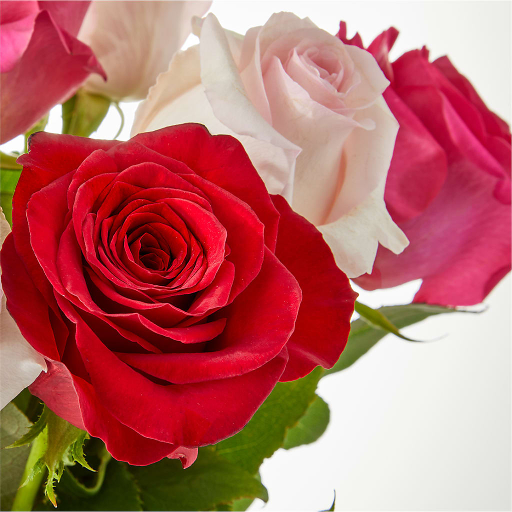 Charming Rose Bouquet –  West Hollywood Florist, West Hollywood CA