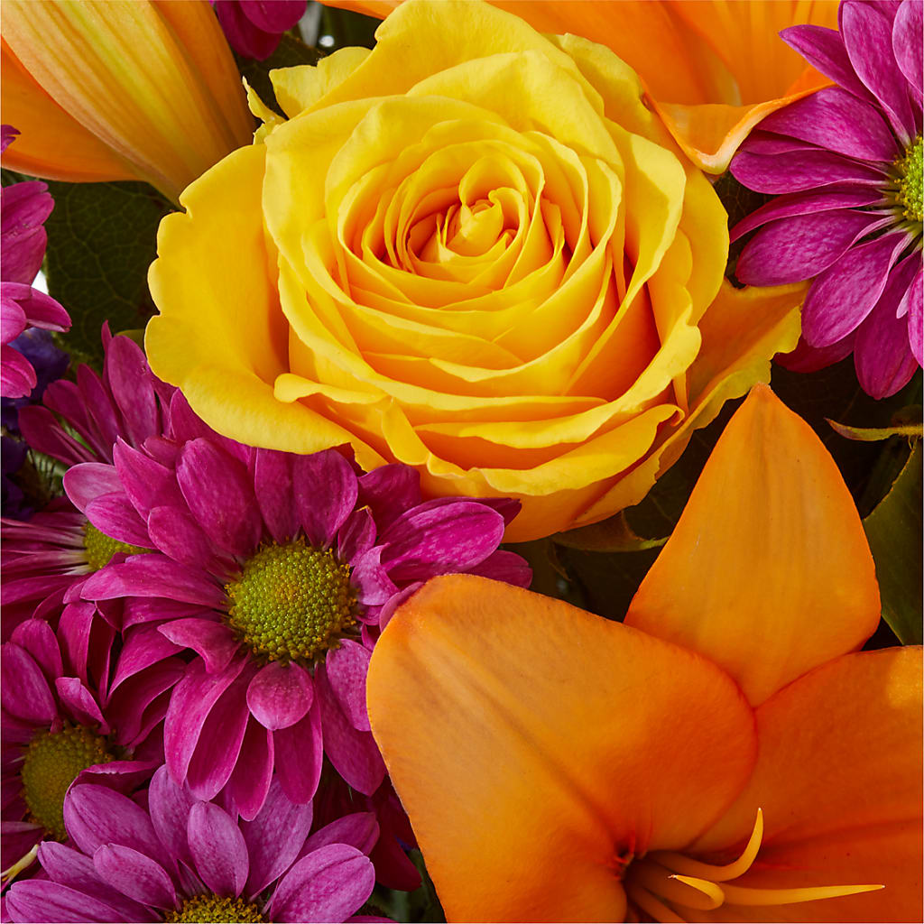 Colorful Visions Bouquet –  West Hollywood Florist, West Hollywood CA
