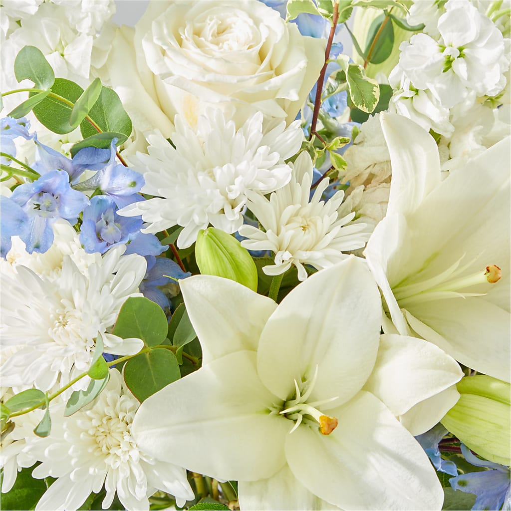 Peace of Mind Bouquet –  West Hollywood Florist, West Hollywood CA