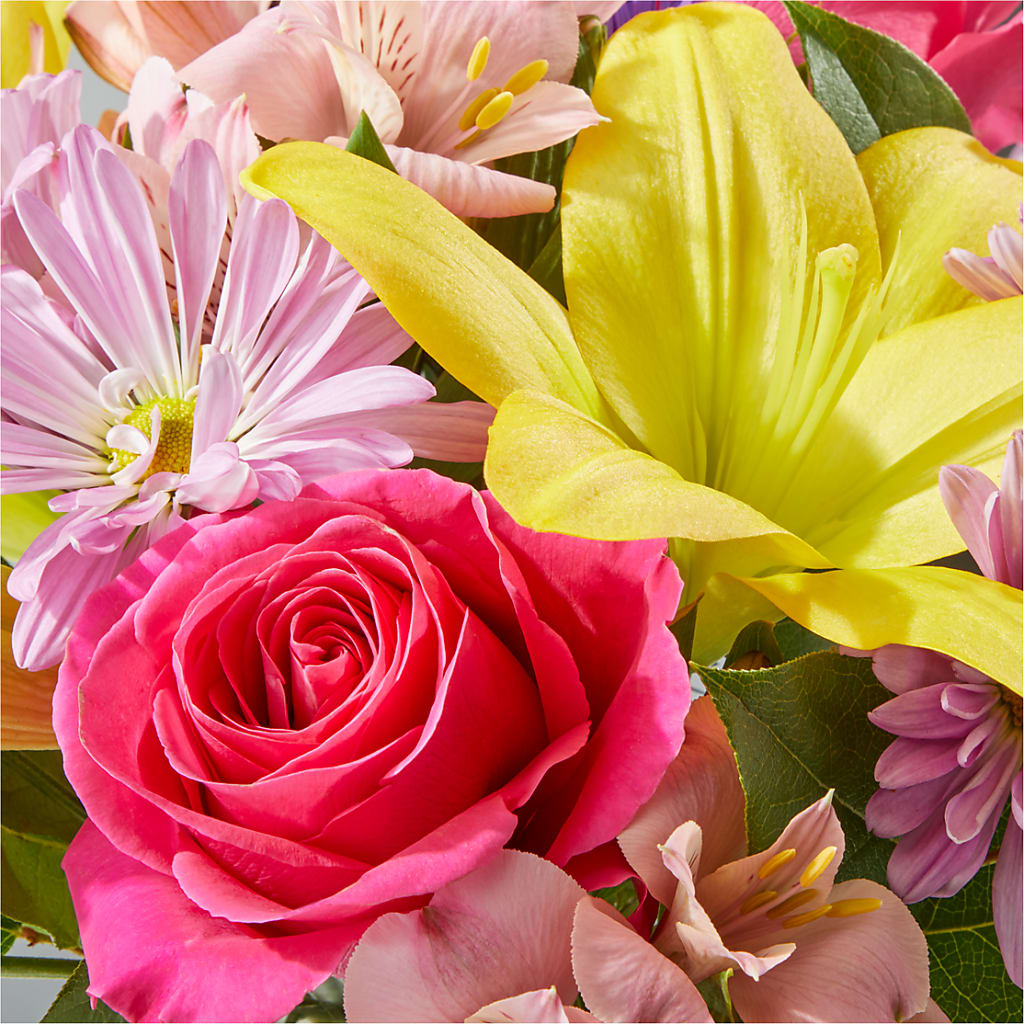 Sprinkles Bouquet –  West Hollywood Florist, West Hollywood CA