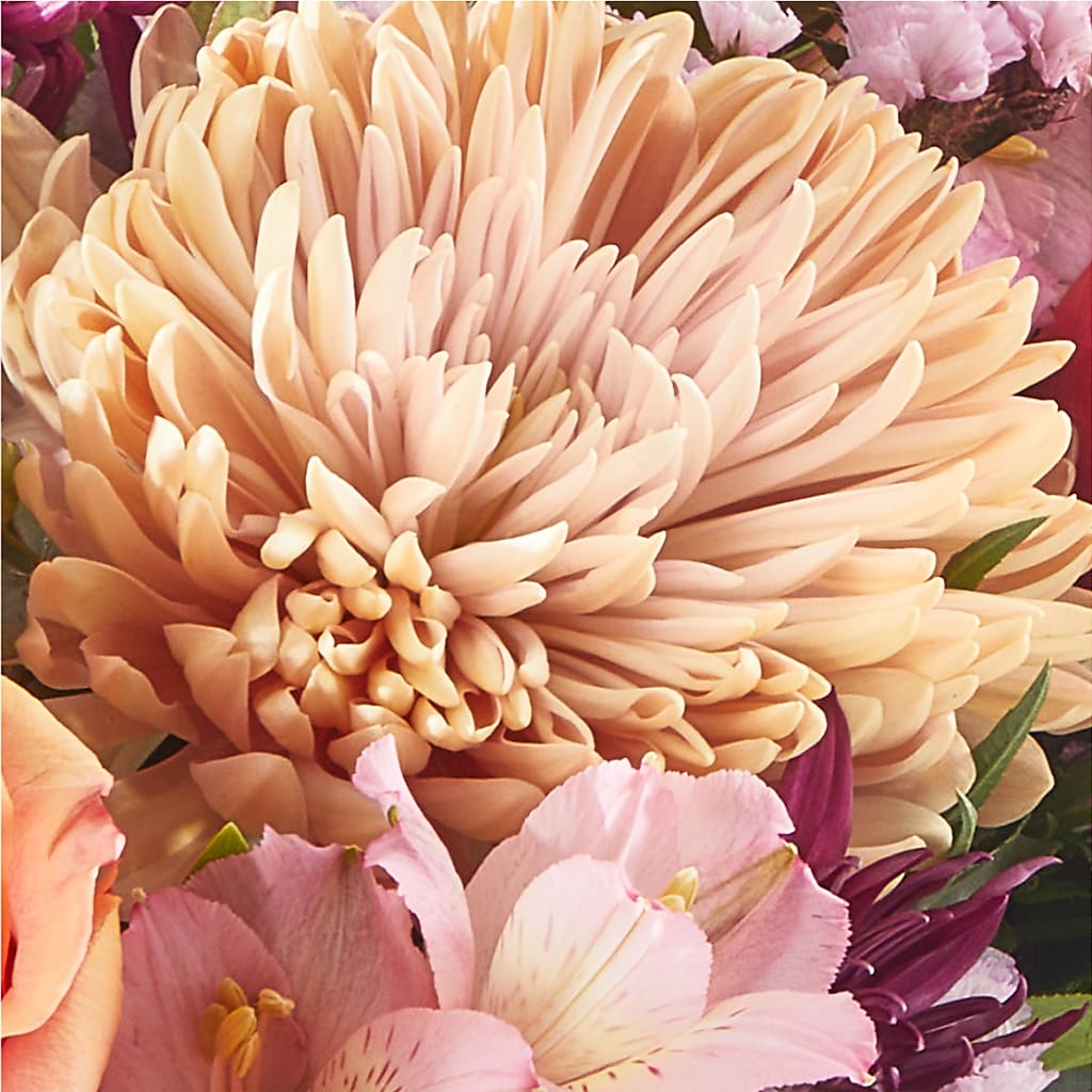 Berry Cobbler Bouquet –  West Hollywood Florist, West Hollywood CA