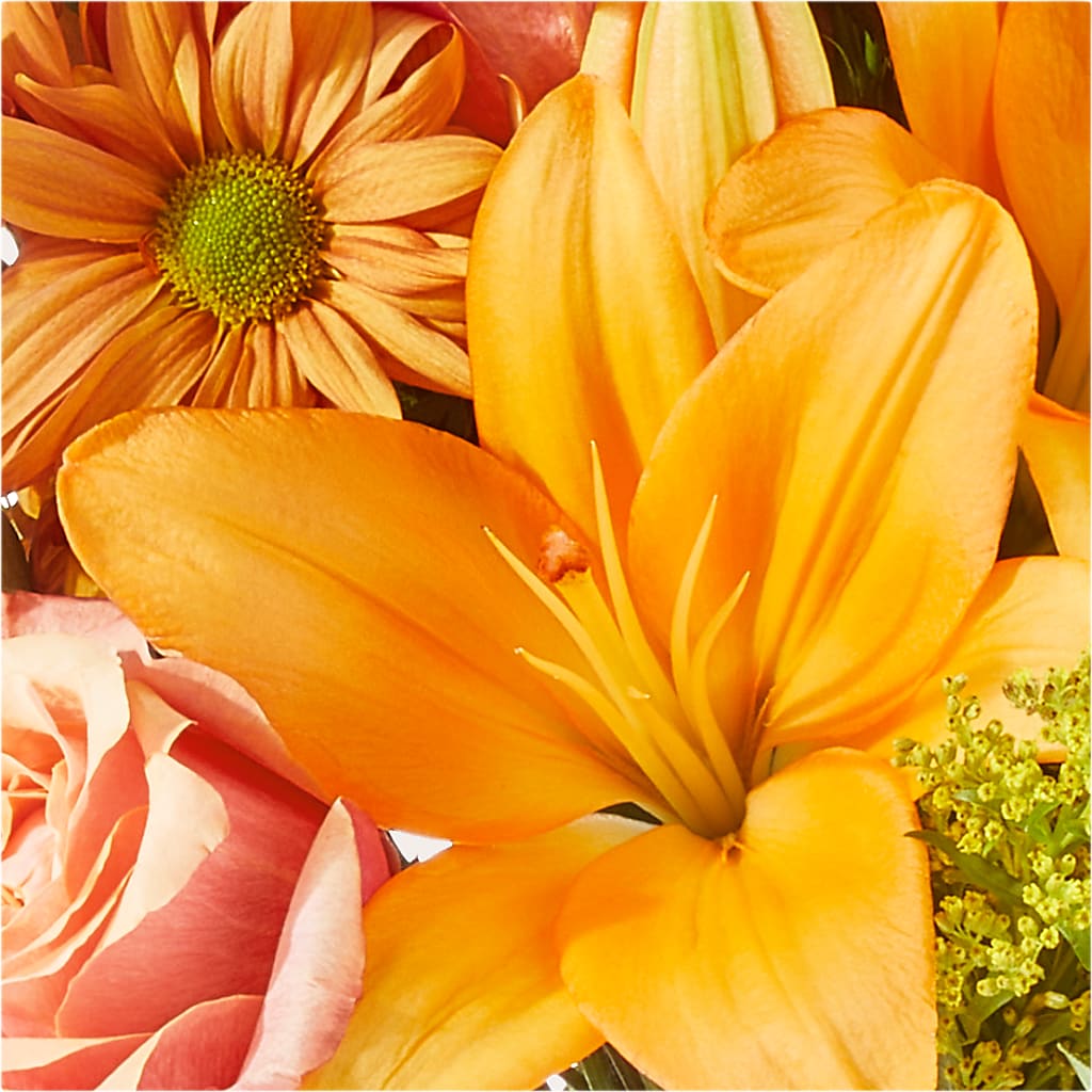 Harvest Hayride Bouquet –  West Hollywood Florist, West Hollywood CA