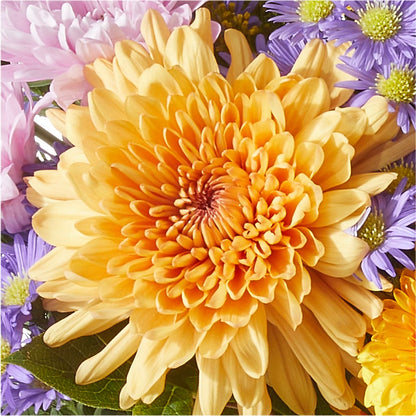 Countryside Bouquet –  West Hollywood Florist, West Hollywood CA