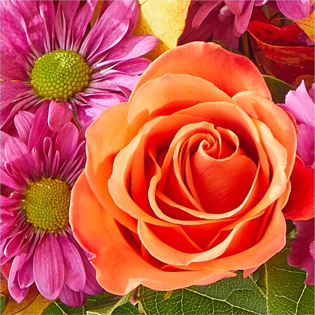 Mum's the Word Bouquet –  West Hollywood Florist, West Hollywood CA