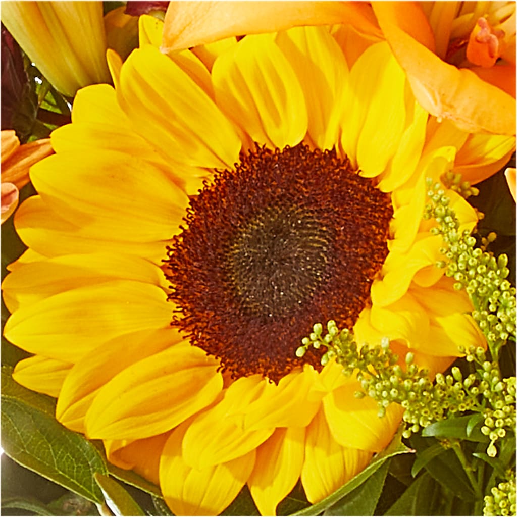 Seasons Change Bouquet –  West Hollywood Florist, West Hollywood CA