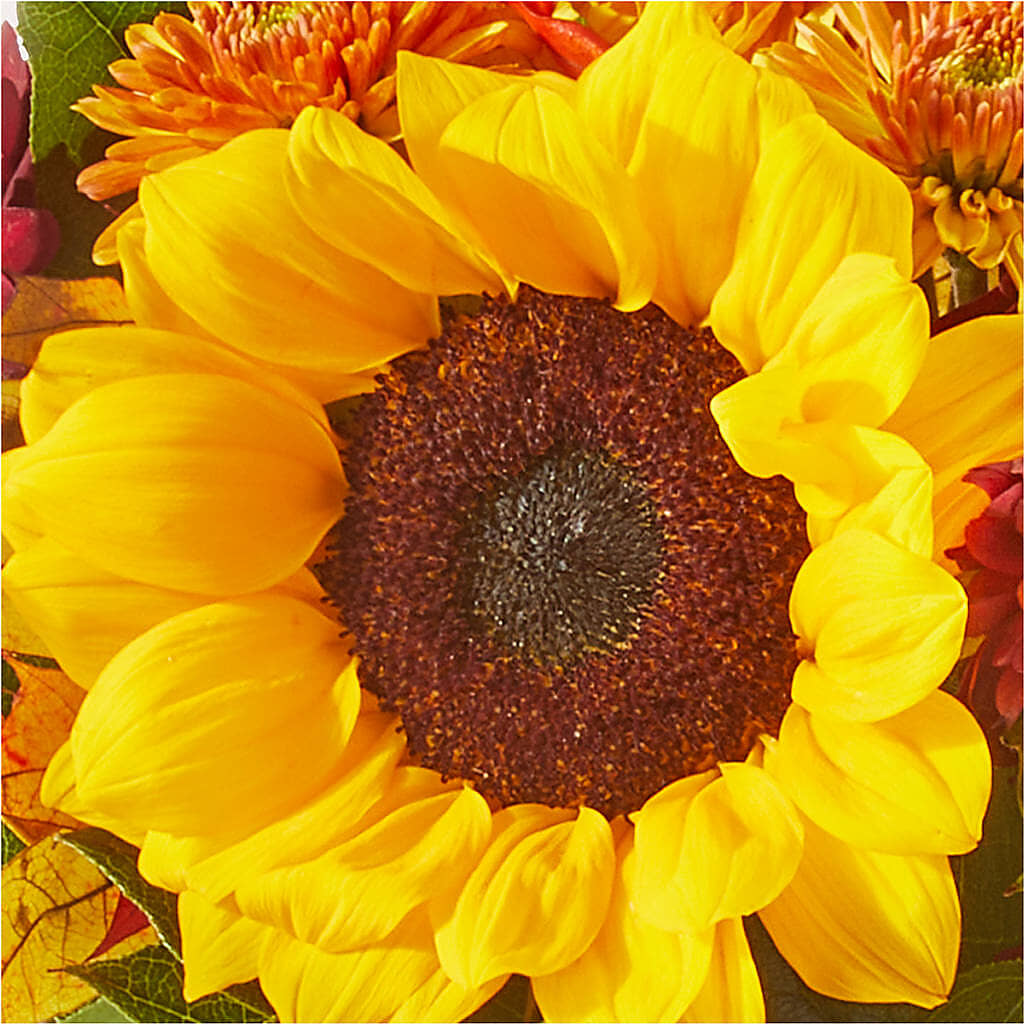 Sunny Side Bouquet –  West Hollywood Florist, West Hollywood CA