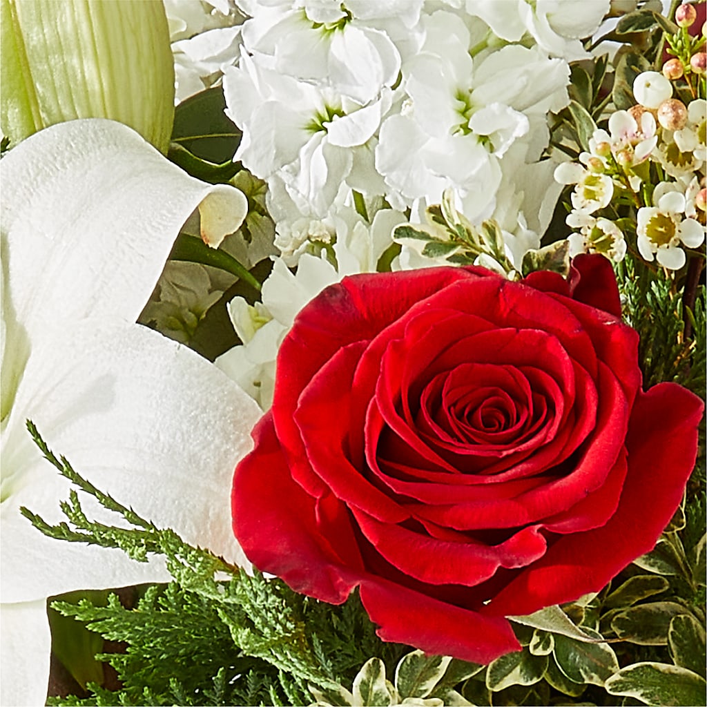 Twinkle Lights Bouquet –  West Hollywood Florist, West Hollywood CA