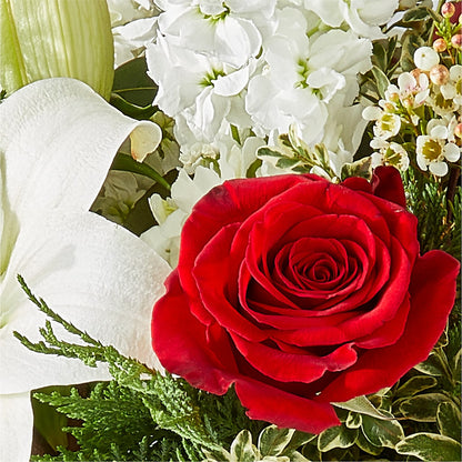 Twinkle Lights Bouquet –  West Hollywood Florist, West Hollywood CA