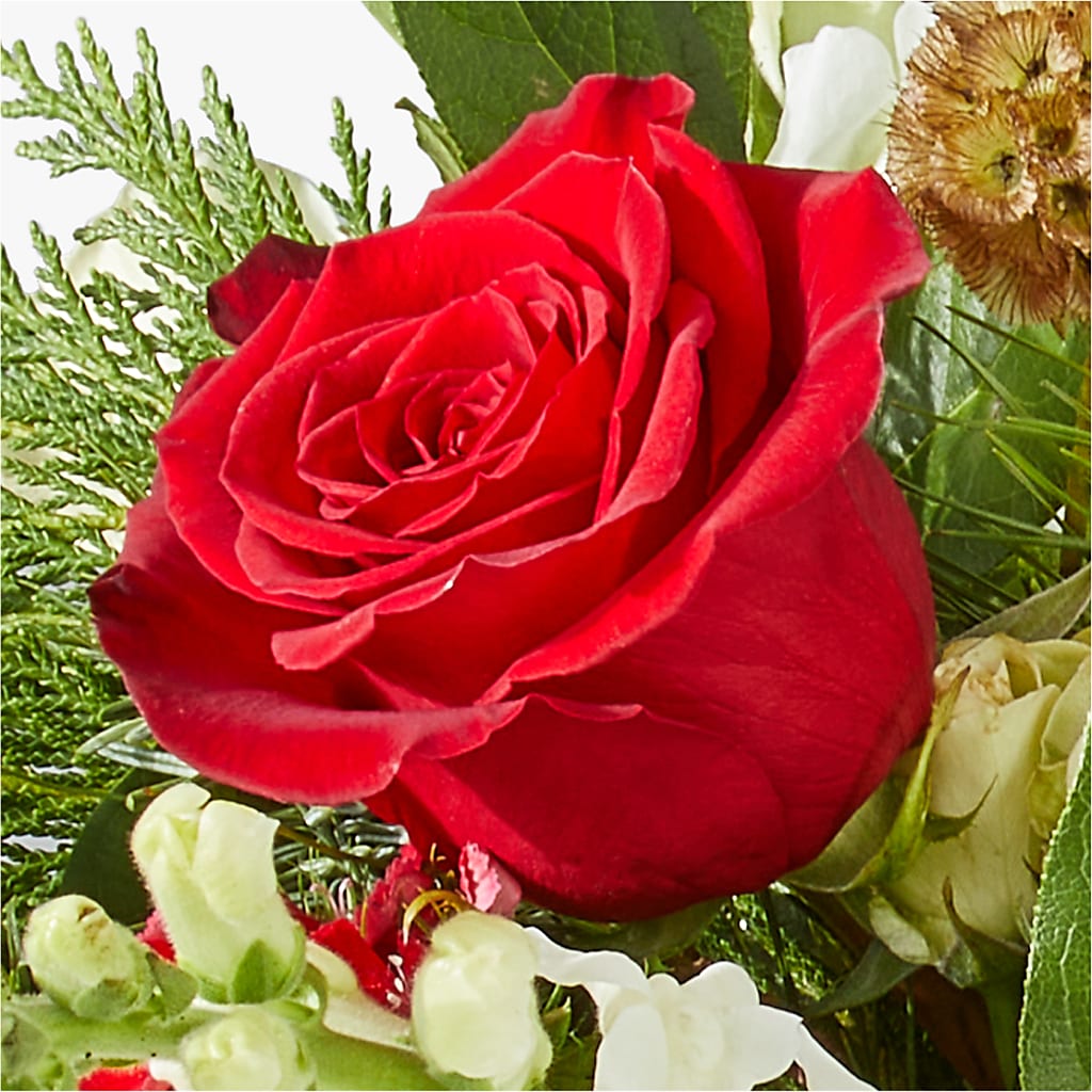 Deck the Halls Bouquet –  West Hollywood Florist, West Hollywood CA