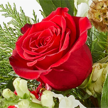 Deck the Halls Bouquet –  West Hollywood Florist, West Hollywood CA