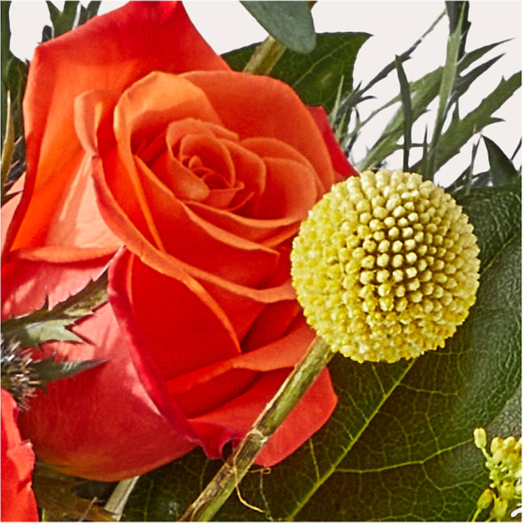Disco Bouquet –  West Hollywood Florist, West Hollywood CA