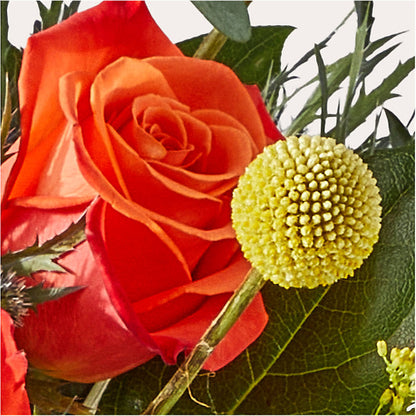 Disco Bouquet –  West Hollywood Florist, West Hollywood CA