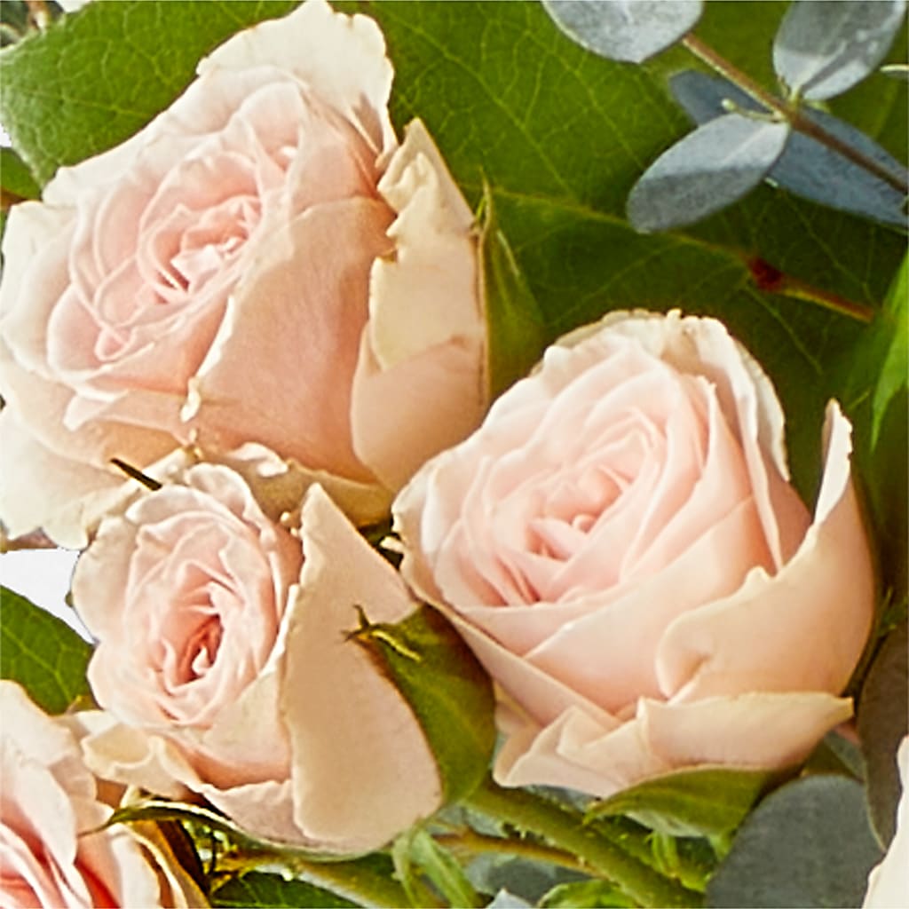 Inspired Bouquet –  West Hollywood Florist, West Hollywood CA