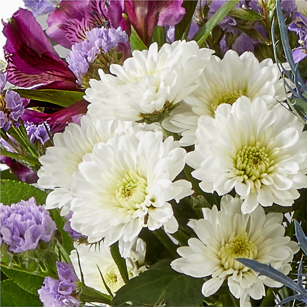 Shooting Star Bouquet –  West Hollywood Florist, West Hollywood CA