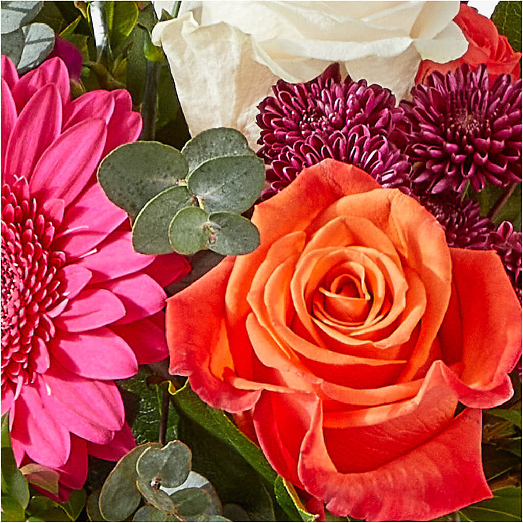 Smell the Roses Bouquet –  West Hollywood Florist, West Hollywood CA