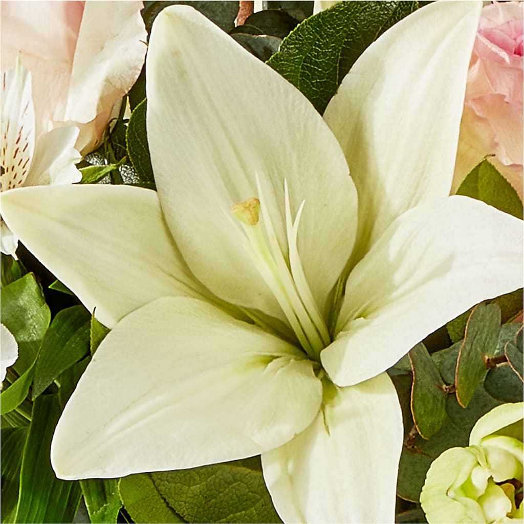 Ballet Slippers Bouquet –  West Hollywood Florist, West Hollywood CA
