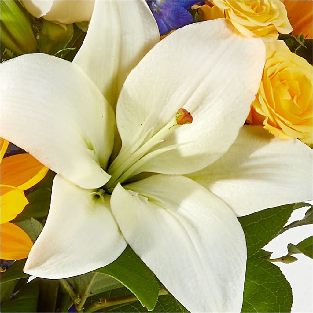 Wonderfully Sunny Bouquet –  West Hollywood Florist, West Hollywood CA