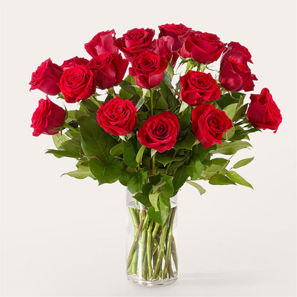 The One Red Rose Bouquet –  West Hollywood Florist, West Hollywood CA