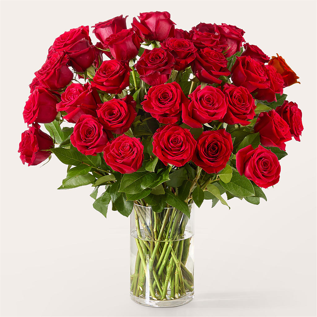 The One Red Rose Bouquet –  West Hollywood Florist, West Hollywood CA